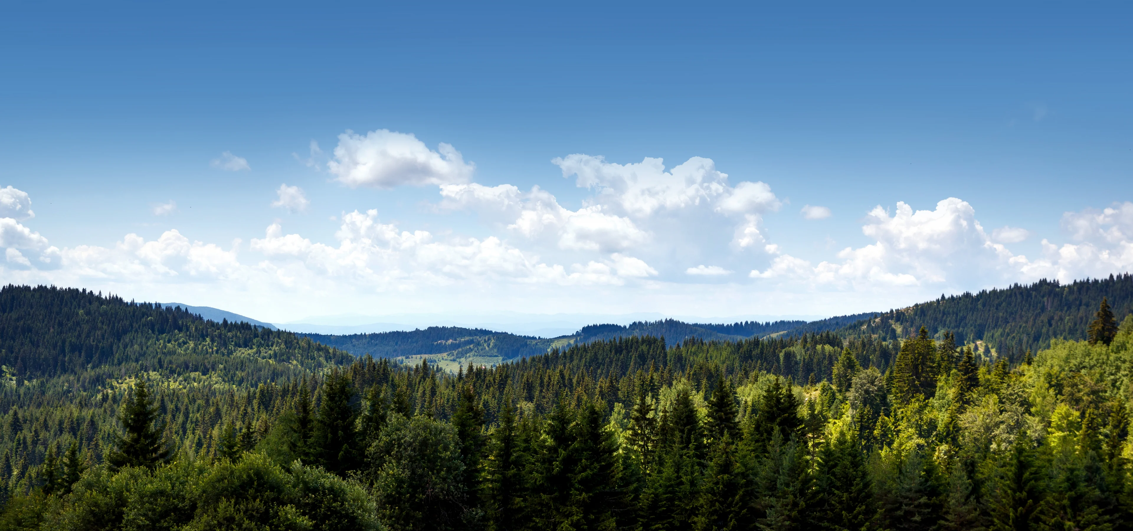 비욘드제로 아우트로 이미지